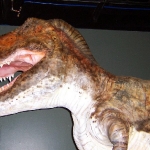 ビショップ博物館で特別展「恐竜がやって来る」開催中
