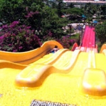 ハワイ最大の水のテーマパークで子供料金無料キャンペーン中