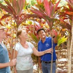 花々が咲き果物が実るモリイ庭園を巡る